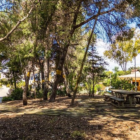 אלבופיירה Apartamentos Bosque Sao Jose מראה חיצוני תמונה